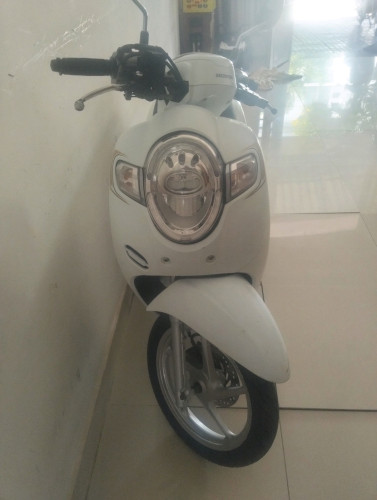 មានកាតគ្រីត្រឹមត្រូវ
