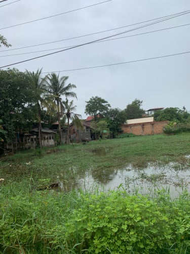 ដីលក់ ក្នុងក្រុងសៀមរាប