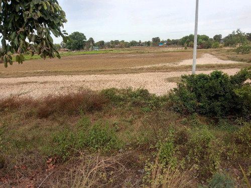 ដីកែងជាប់ផ្លូវជាតិលេខ 2 លក់តម្លៃក្រោមទីផ្សារធូរៗ។