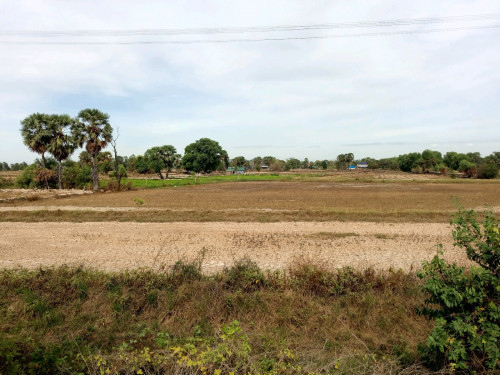 ដីកែងជាប់ផ្លូវជាតិលេខ 2 លក់តម្លៃក្រោមទីផ្សារធូរៗ។