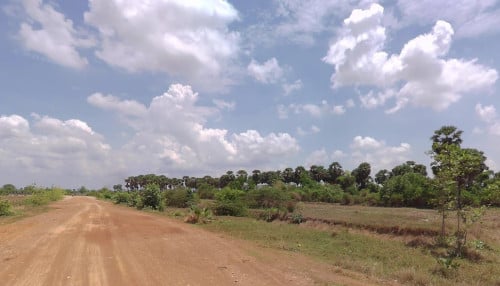 ដីលក់ កំពង់ស្ពឺ សំរោងទង ខ្ទុំក្រាំង ក្បាល 20m ទៅក្រោយ 50m