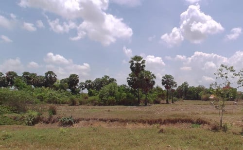 ដីលក់ កំពង់ស្ពឺ សំរោងទង ខ្ទុំក្រាំង ក្បាល 20m ទៅក្រោយ 50m