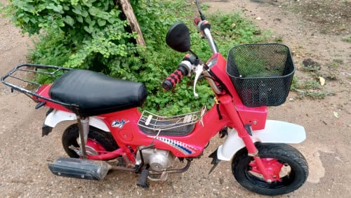 ឆាលីម៉ាសុី50