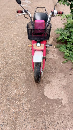 ឆាលីម៉ាសុី50