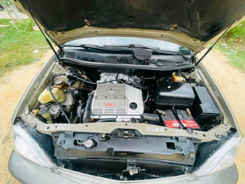 លក់ 7900$