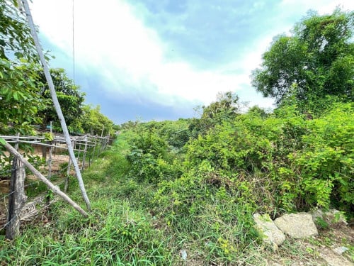 ដីដាក់លក់ផ្លូវ(8m) ក្រុងអរិយក្សត្រ