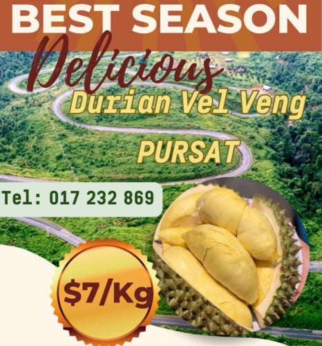 ផ្លែទុរេន(Durian) នៅតំបន់ស្រុកវាលវែង ខេត្តពោធិ៍សាត់
