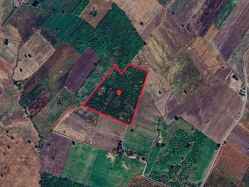 🏦Land Available for Urgent Sale at a Special Price (Negotiable).