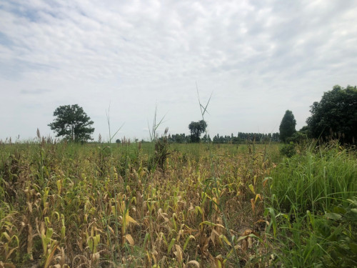🏦Land Available for Urgent Sale at a Special Price (Negotiable).