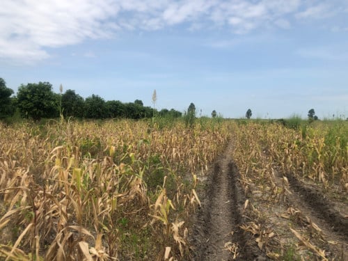 🏦Land Available for Urgent Sale at a Special Price (Negotiable).