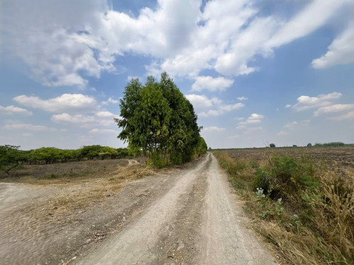 🏦Land Available for Urgent Sale at a Special Price (Negotiable).