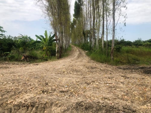 🏦Land Available for Urgent Sale at a Special Price (Negotiable).