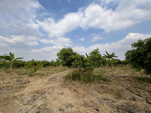 🏦Land Available for Urgent Sale at a Special Price (Negotiable).