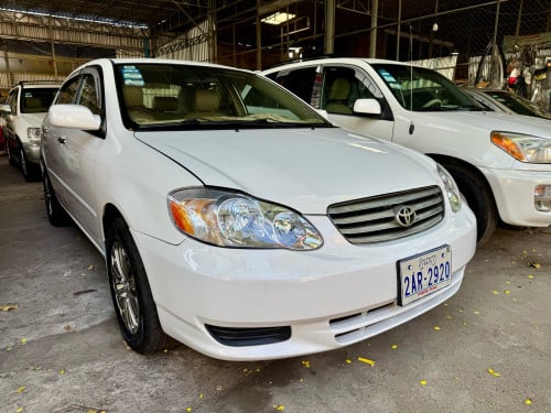 🚘កាត់បានក្តៅ Corolla 03 le ក្នុងលឿង ម៉ាសុីន ប្រអប់លេខជើងក្រោម