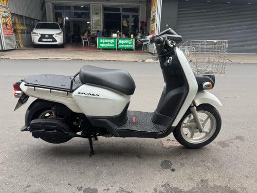 BENLY 50cc