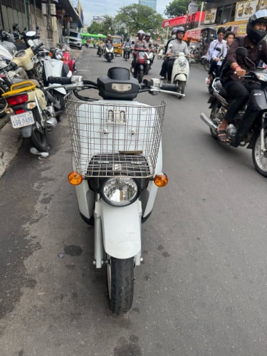 BENLY 50cc