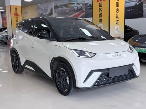 BYD Seagull 305km used 2023