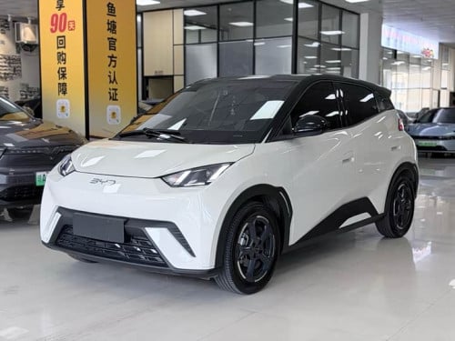 BYD Seagull 305km used 2023