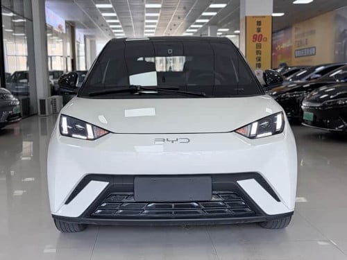 BYD Seagull 305km used 2023