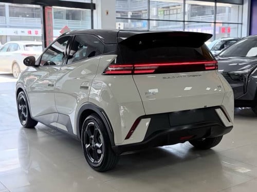 BYD Seagull 305km used 2023