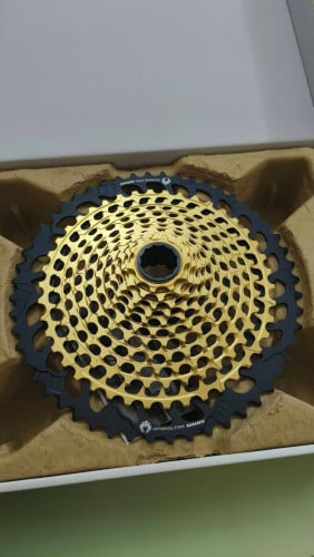 Cassette XX1 Gold