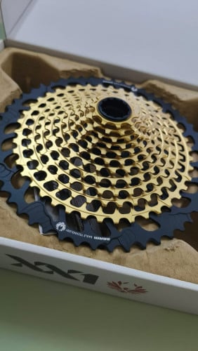 Cassette XX1 Gold