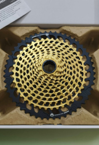 Cassette XX1 Gold