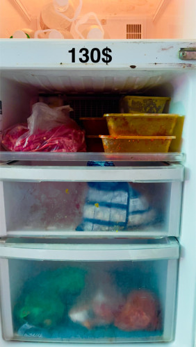 Fridge