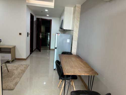 Fully Furnished 1 Bedroom Apartment 51m2 net @ Olympia City for rent at $350/month.