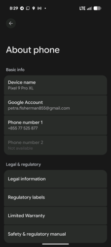 Google Pixel 9 Pro XL colored Obsidian, Ram 16G/256G 1sim + Esim