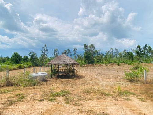 ដីលក់​ (Land for sale)