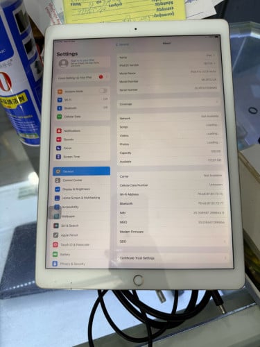 iPad Pro WiFi +Sim