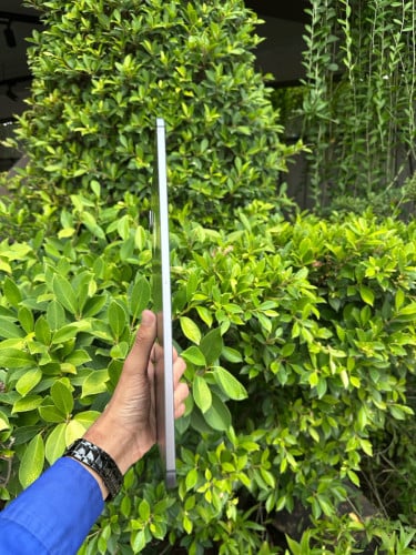 iPadPro 12.9 2020 (256G/sim+wifi)