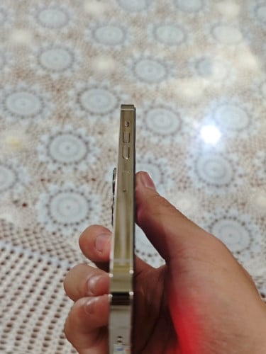 IPhone 13 Pro Bypass