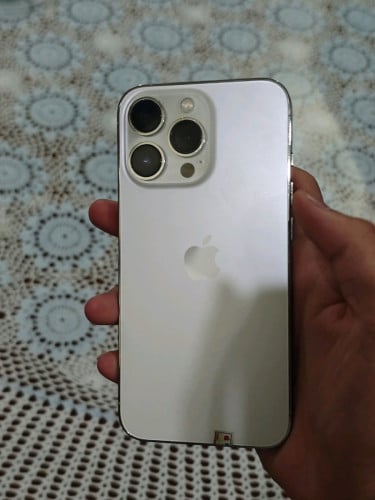 IPhone 13 Pro Bypass