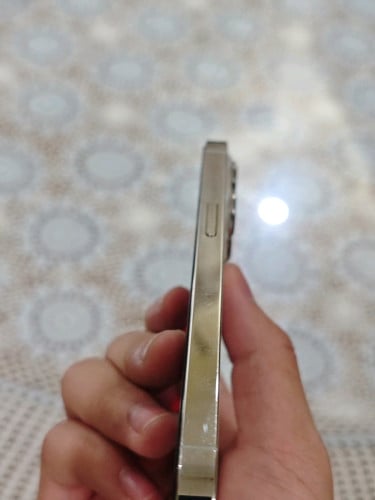 IPhone 13 Pro Bypass