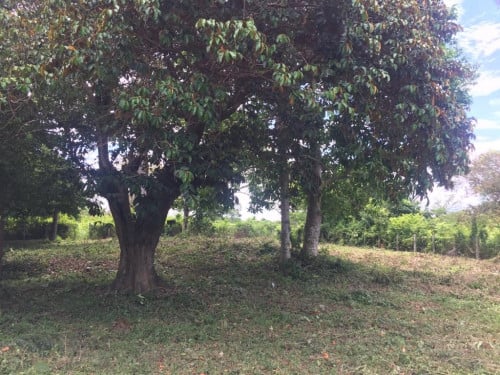 LAND FOR SALE KEP