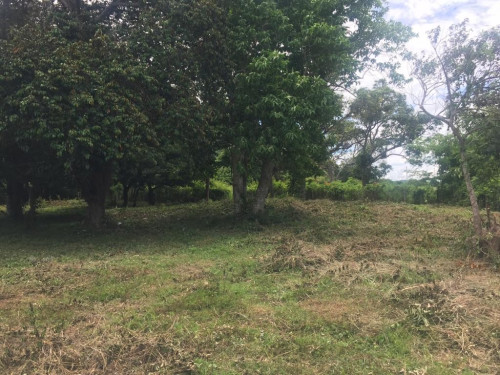 LAND FOR SALE KEP