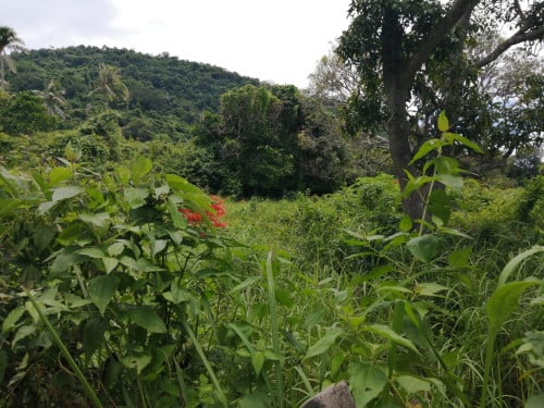LAND FOR SALE KEP