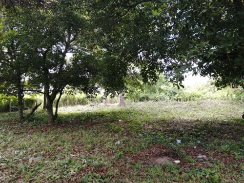 LAND FOR SALE KEP