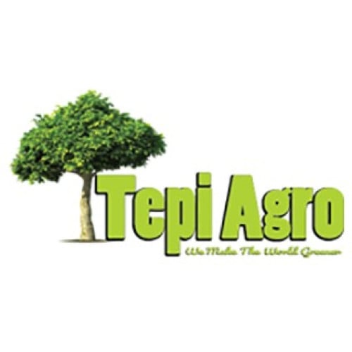 Senior Purchasing and Admin Officer