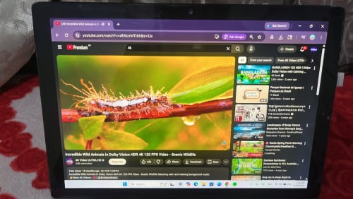 Surface pro 6 (no touch no keyboard and yellow screen)