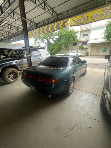 toyota marino
