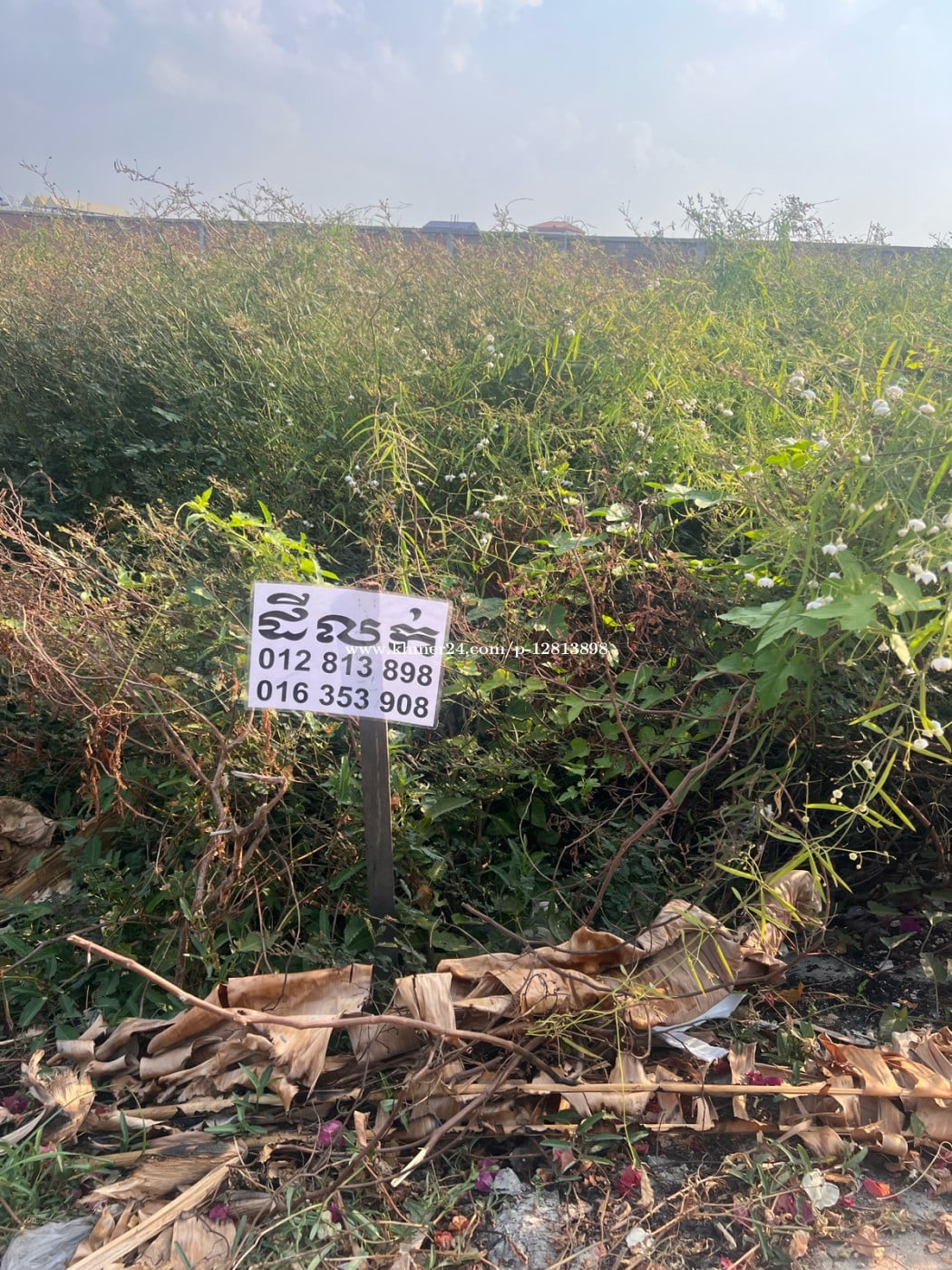 ដីលក់បន្ទាន់