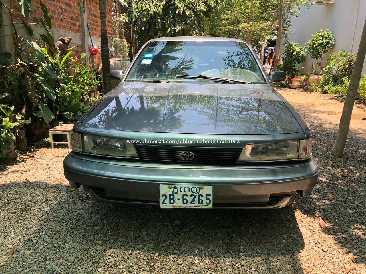 ស្វិតឆ្នាំ91 លក់