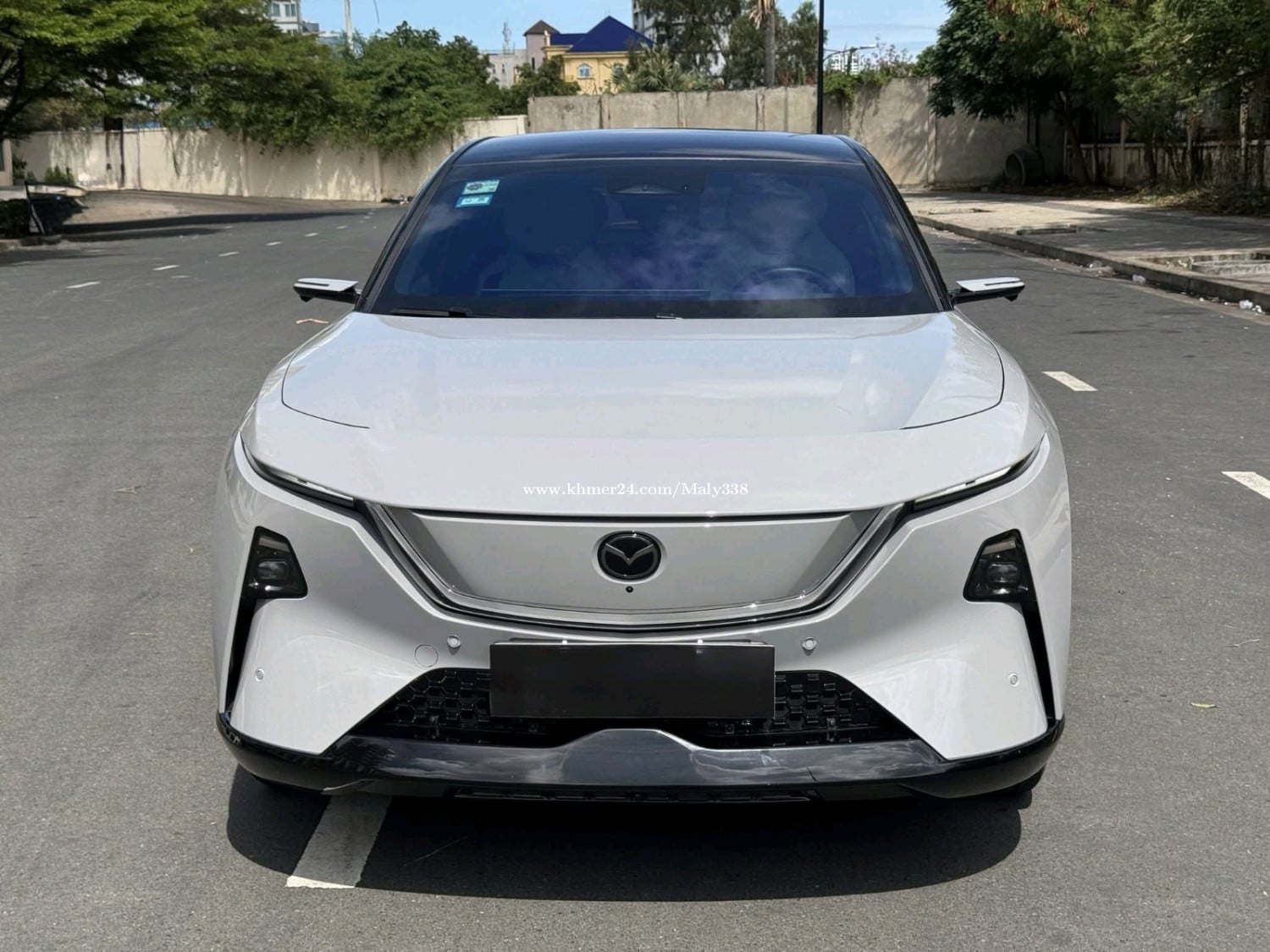 EZ60 Max 600km Option 2