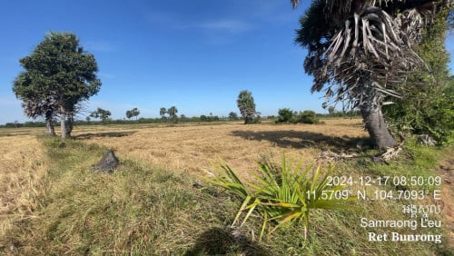 ដីស្រែសម្រាប់លក់