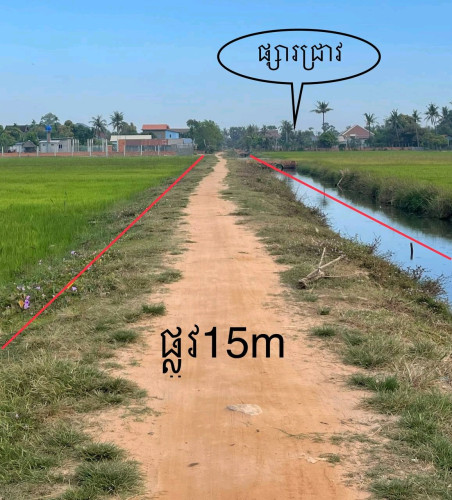 ដីលក់ជិតផ្សារជ្រាវ ផ្សារកែងមេម៉ាយ នឹងនៅជិតផ្លូវបេតុងតាវុឺន