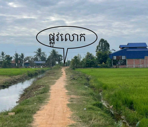 ដីលក់ជិតផ្សារជ្រាវ ផ្សារកែងមេម៉ាយ នឹងនៅជិតផ្លូវបេតុងតាវុឺន