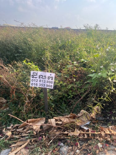 ដីលក់បន្ទាន់